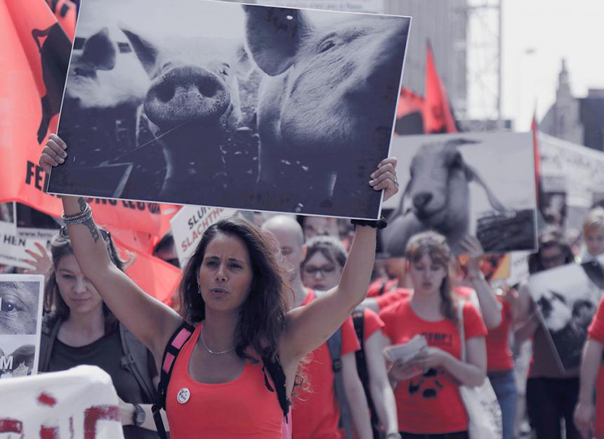 MARS VOOR SLUITING VAN ALLE SLACHTHUIZEN