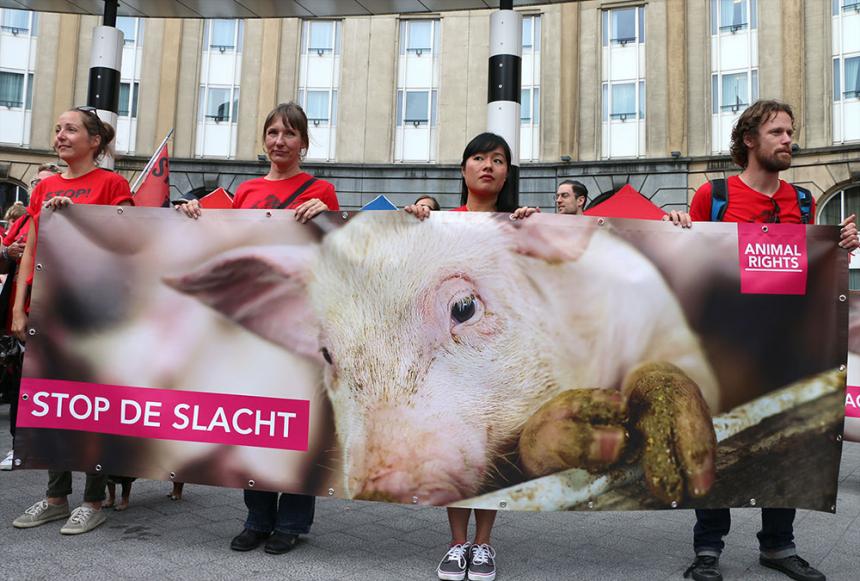 STOP DE SLACHT! – Protestmars in Brussel