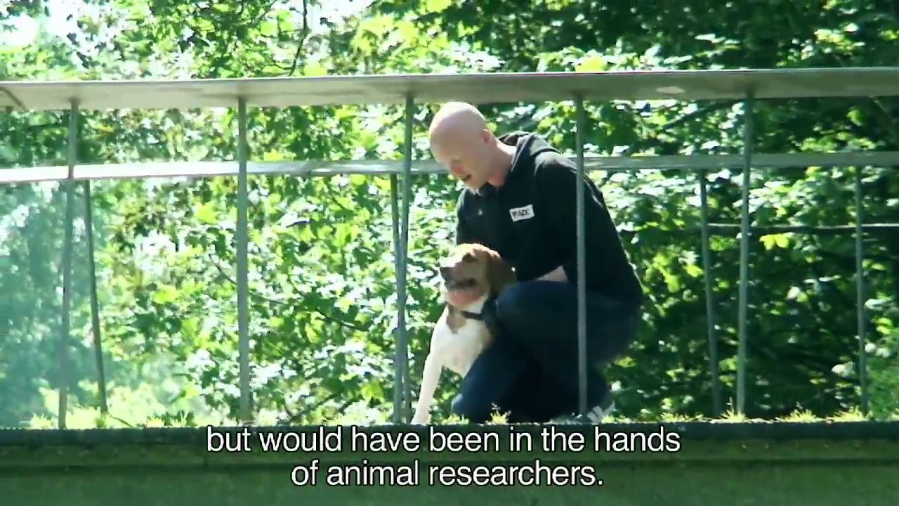 BEAGLES BEVRIJDEN IS STATEMENT TEGEN ONRECHT
