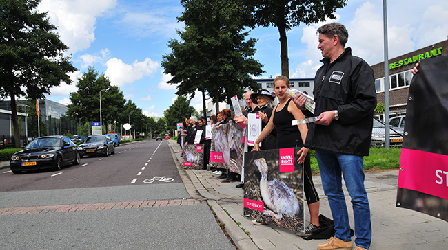 PROTEST BIJ EENDENSLACHTER TOMASSEN DUCK-TO