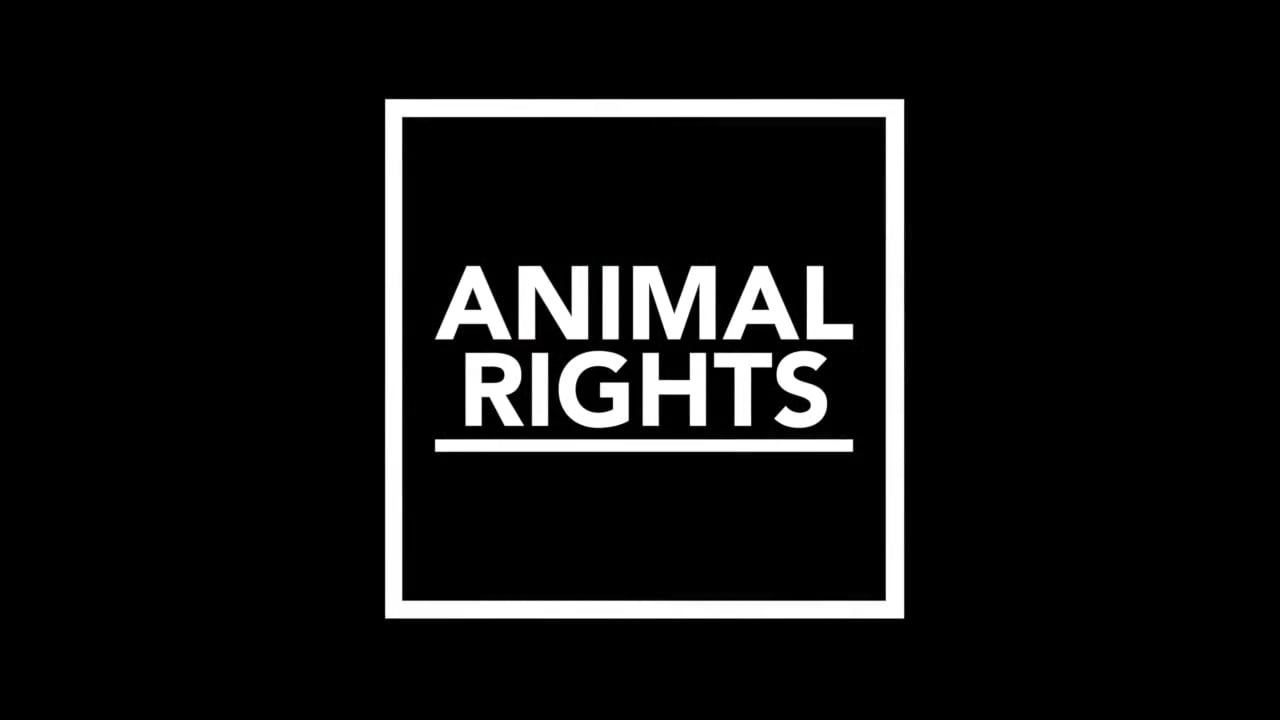 DIERENRECHTENORGANISATIES DEMONSTREREN TEGEN VERGASSINGEN