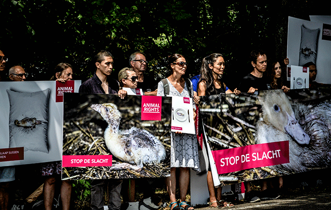 KRACHTIG STATEMENT VOOR SLUITING SLACHTHUIS