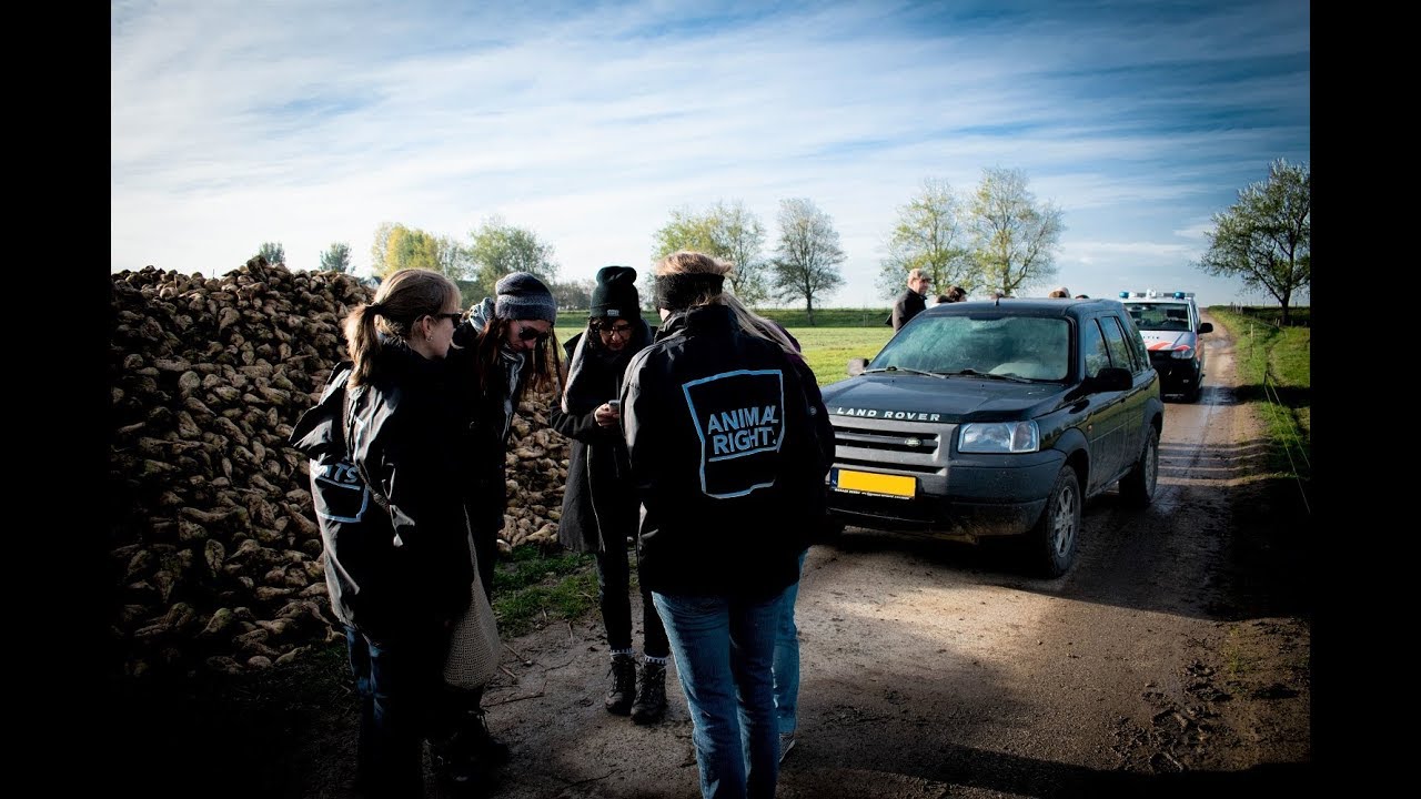 BLOKKEERJAGERS ZETTEN ACTIVISTEN VAST