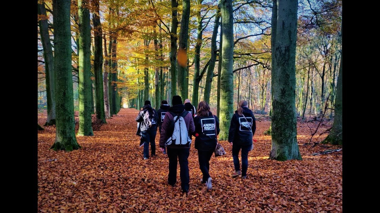 JAGERS BLAZEN AFTOCHT IN GELDERLAND
