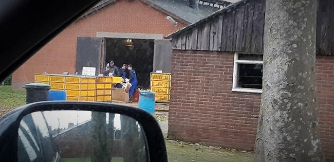 VANGPLOEG GOOIT OPNIEUW MET EENDEN