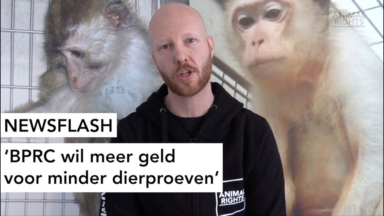 BPRC WIL MEER GELD VOOR MINDER DIERPROEVEN