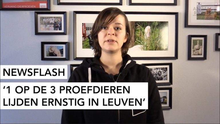 ANIMAL RIGHTS GAAT DEMONSTREREN IN LEUVEN OP WERELDPROEFDIERENDAG