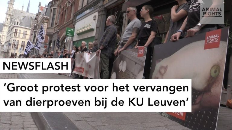 DEMONSTRATIE AAN DE KU LEUVEN OP WERELDPROEFDIERENDAG