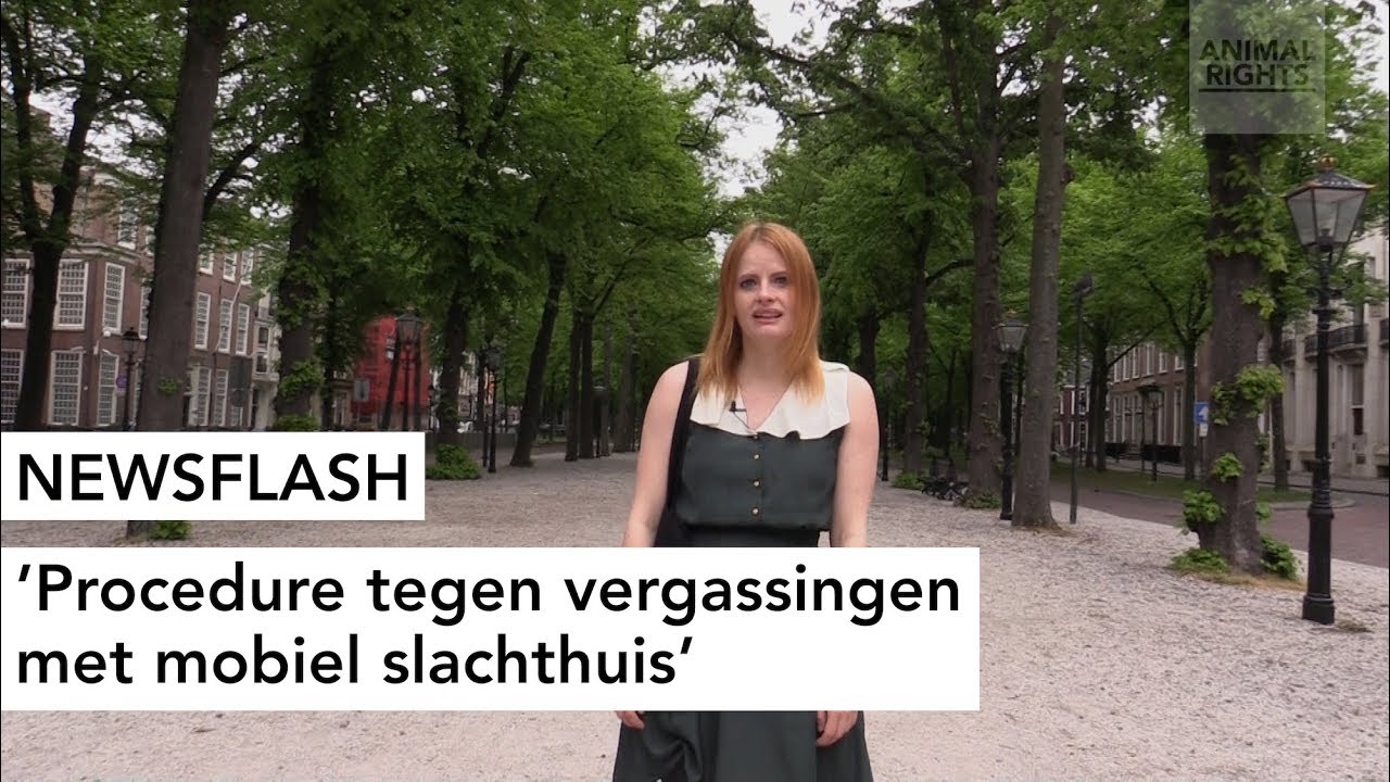 NAAR RECHTER: STOP VERGASSINGEN MET MOBIEL SLACHTHUIS