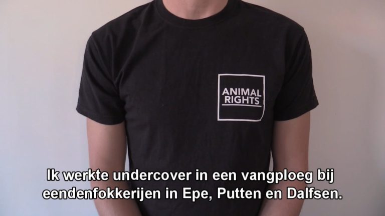 TIJDLIJN – RED DE EENDEN