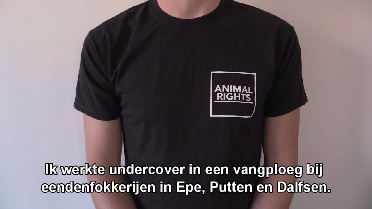 BOETE VOOR DOODSLAAN EENDEN – WAARSCHUWINGEN VOOR EENDENHOUDERIJEN