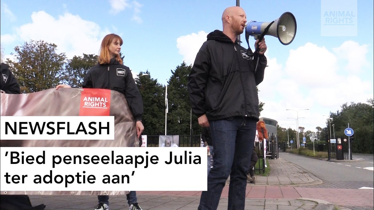 LUID PROTEST VOOR JULIA