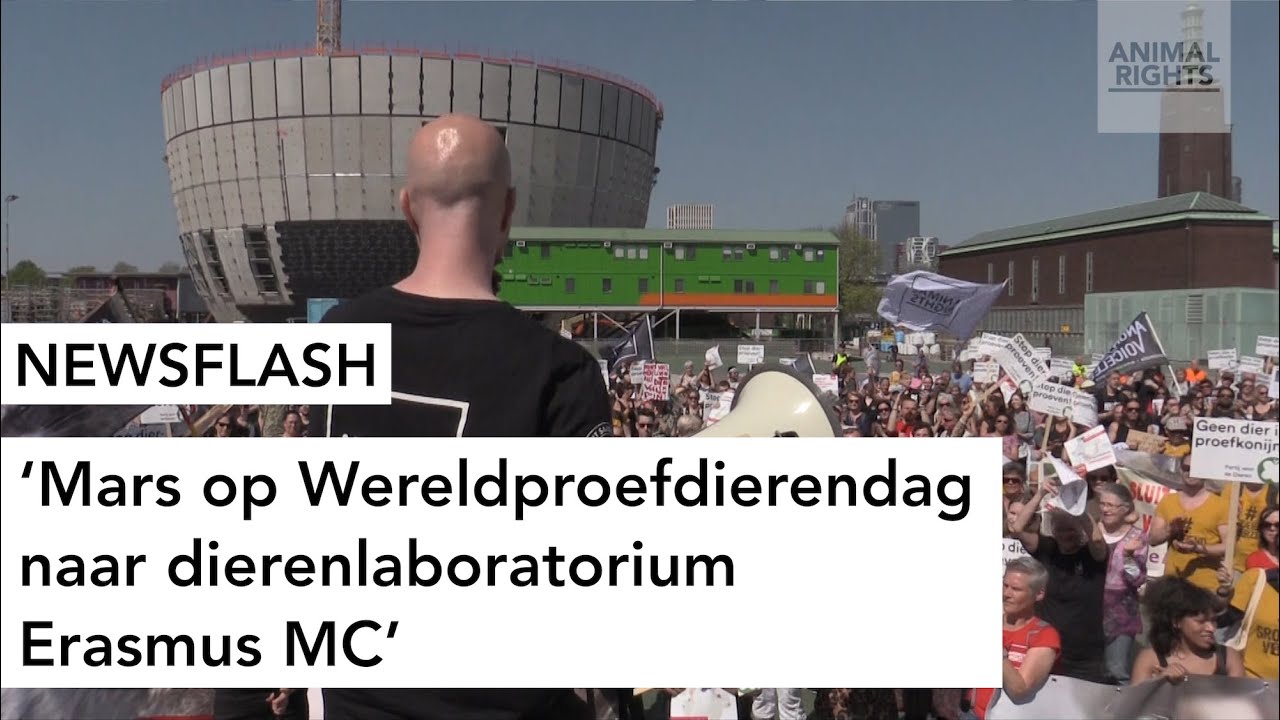 ANIMAL RIGHTS WIL OPENHEID OVER APEN-EN KATTENTESTEN ERASMUS MC
