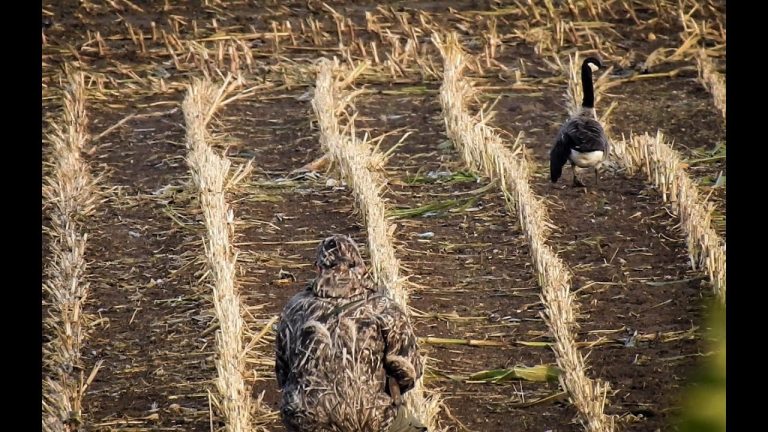 JAGERS LATEN MEERDERE DIEREN ONVOORSTELBAAR LIJDEN