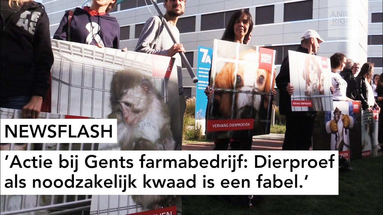ACTIE BIJ GENTS FARMABEDRIJF: DIERPROEF ALS NOODZAKELIJK KWAAD IS EEN FABEL.