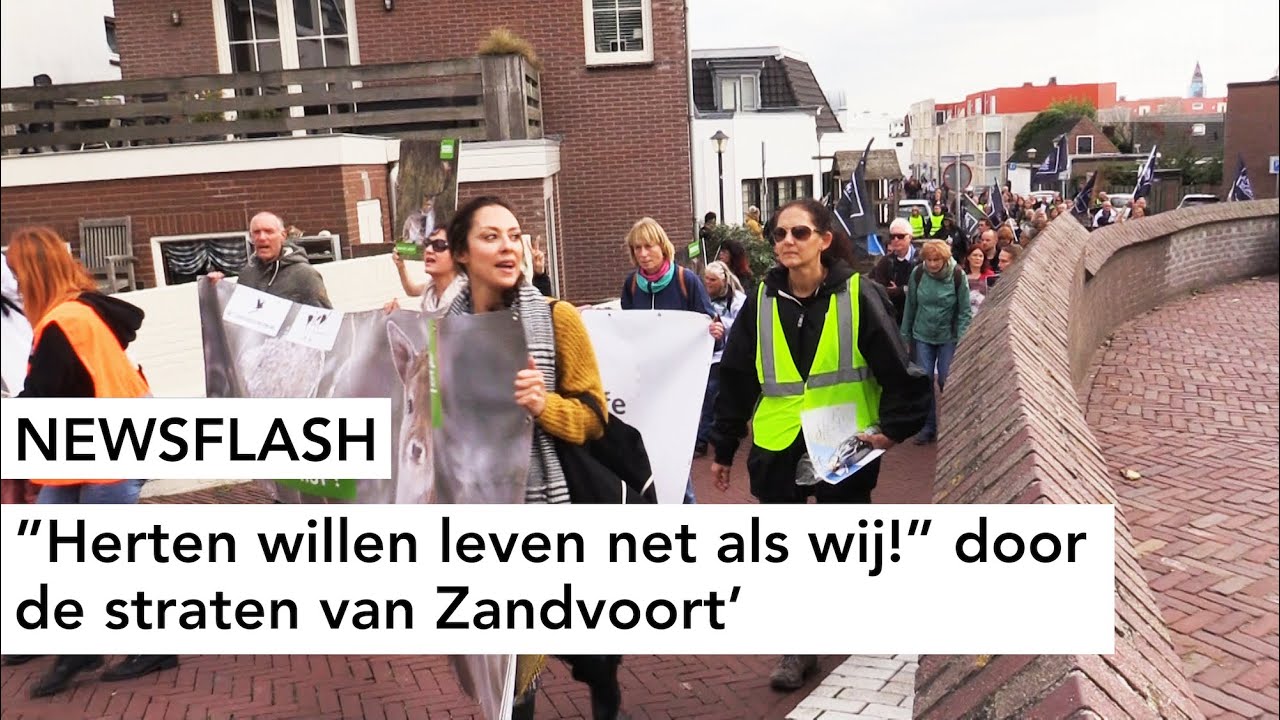 PROTEST TEGEN AFSCHOT DAMHERTEN