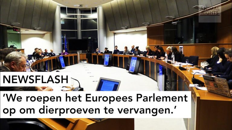 WE ROEPEN HET EUROPEES PARLEMENT OP OM DIERPROEVEN TE VERVANGEN