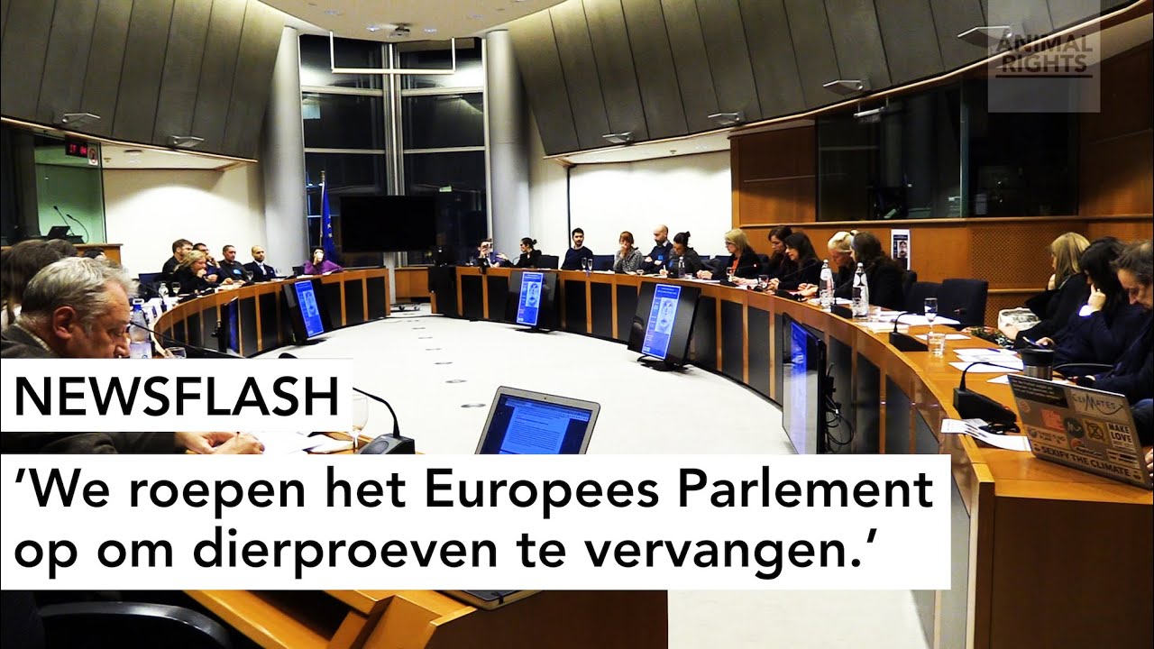WE ROEPEN HET EUROPEES PARLEMENT OP OM DIERPROEVEN TE VERVANGEN