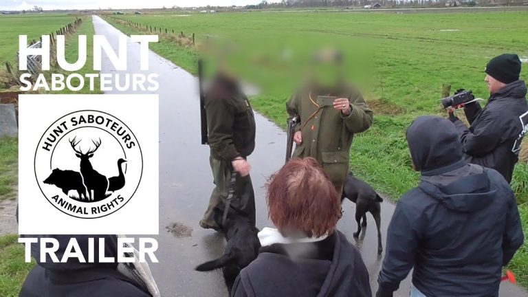 DE HUNT SABOTEURS VAN ANIMAL RIGHTS