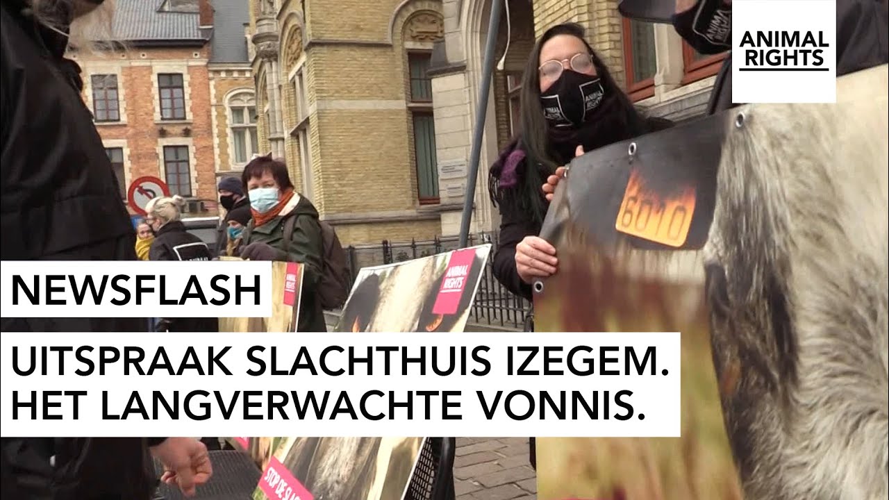 ANIMAL RIGHTS WOEDEND OVER VRIJSPRAAK DIERENMISHANDELAARS UIT IZEGEM