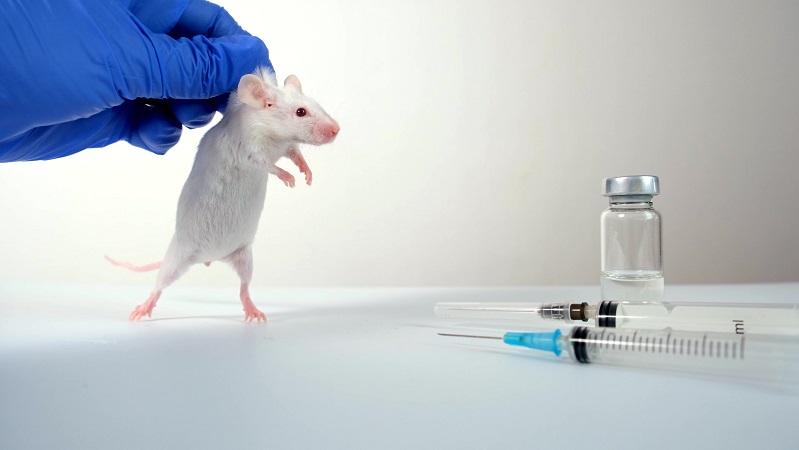 WREDE BOTOX-TESTS OP MUIZEN GAAN DOOR ONDANKS DIERPROEFVRIJE TESTS