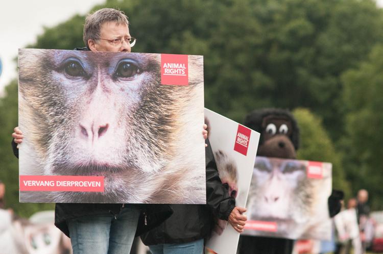 HET BPRC ZIET DIEREN ALS GEBRUIKSVOORWERPEN