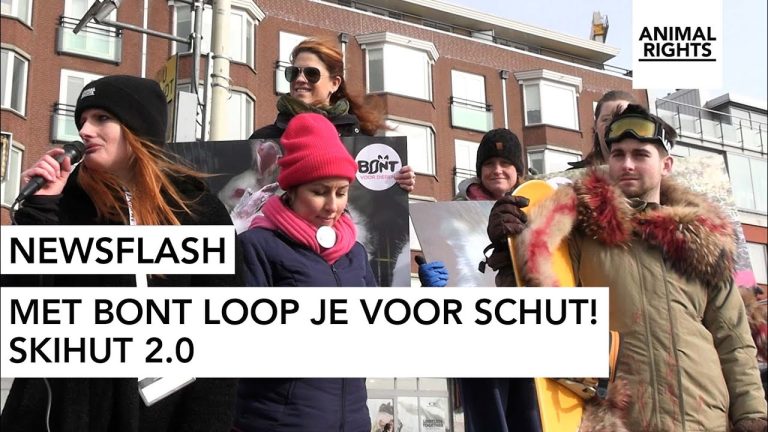 WAT WILLEN WIJ? SKIHUT BONTVRIJ!