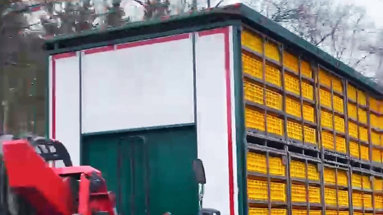 EENDEN WORDEN MIDDEN IN HOOGRISICOGEBIED IN OPEN VRACHTWAGEN VERVOERD