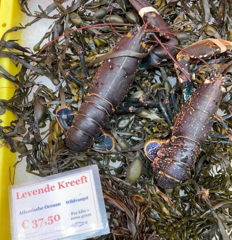 2022, Slacht, Levende kreeft te koop op de markt, NL
