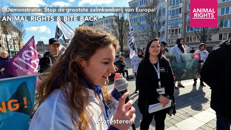 DEMONSTRATIE: STOP DE GROOTSTE ZALMKWEKERIJ VAN EUROPA!