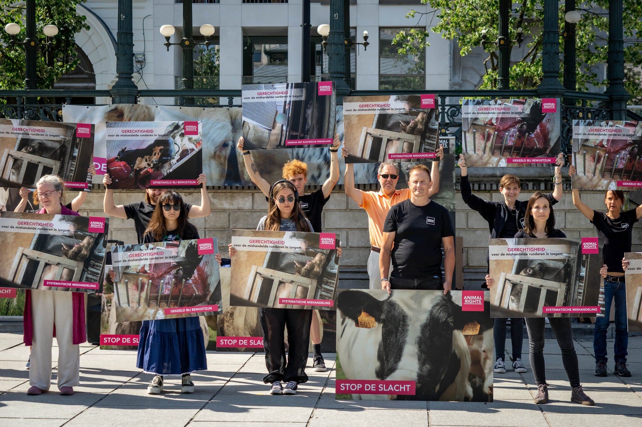 Slachthuis Izegem voor de rechter in beroep wegens dierenmishandeling