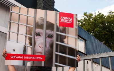 Close-up van een protestbord waarop het hoofd van een resusaap met een fixatiestaaf is te zien. De aap zit achter tralies. Linksonder staat de tekst VERVANG DIERPROEVEN, en rechts bovenin ANIMAL RIGHTS. Achter het protestbord is een deel van de loods van apenhandelaar Hartelust in Tilburg te zien.