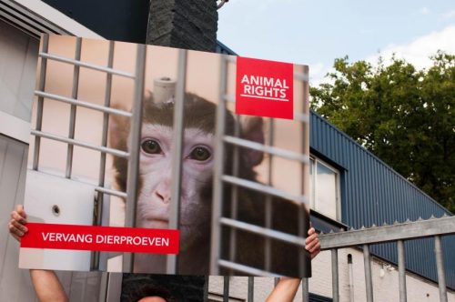 Close-up van een protestbord waarop het hoofd van een resusaap met een fixatiestaaf is te zien. De aap zit achter tralies. Linksonder staat de tekst VERVANG DIERPROEVEN, en rechts bovenin ANIMAL RIGHTS. Achter het protestbord is een deel van de loods van apenhandelaar Hartelust in Tilburg te zien.