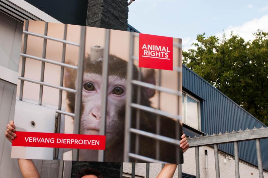 2023-09-02, Dierproeven, Demonstratie, Hartelust, Tilburg, NL Close-up van een protestbord waarop het hoofd van een resusaap met een fixatiestaaf is te zien. De aap zit achter tralies. Linksonder staat de tekst VERVANG DIERPROEVEN, en rechts bovenin ANIMAL RIGHTS. Achter het protestbord is een deel van de loods van apenhandelaar Hartelust in Tilburg te zien.