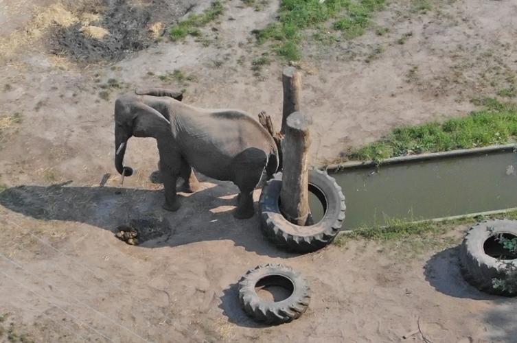 ANIMAL RIGHTS ROEPT DE TWEEDE KAMER OP TOT ACTIE