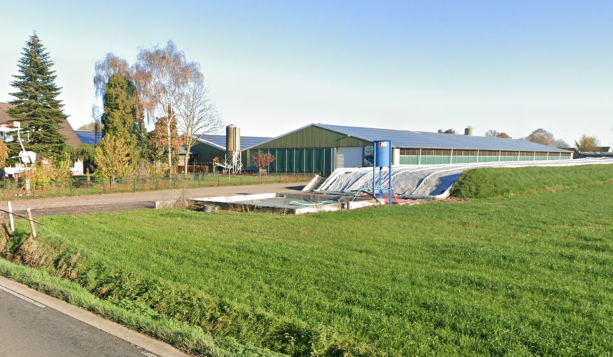 LINGEWAARD EN GELDERLAND LAPPEN GEITENSTOP AAN HUN LAARS