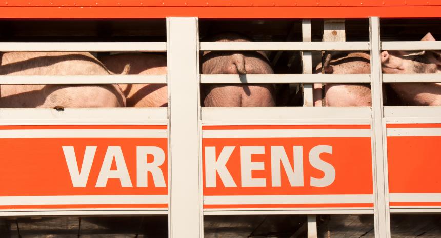 De poging tot slopen van het 3e amentement-Vestering via het ‘convenant dierwaardige veehouderij’