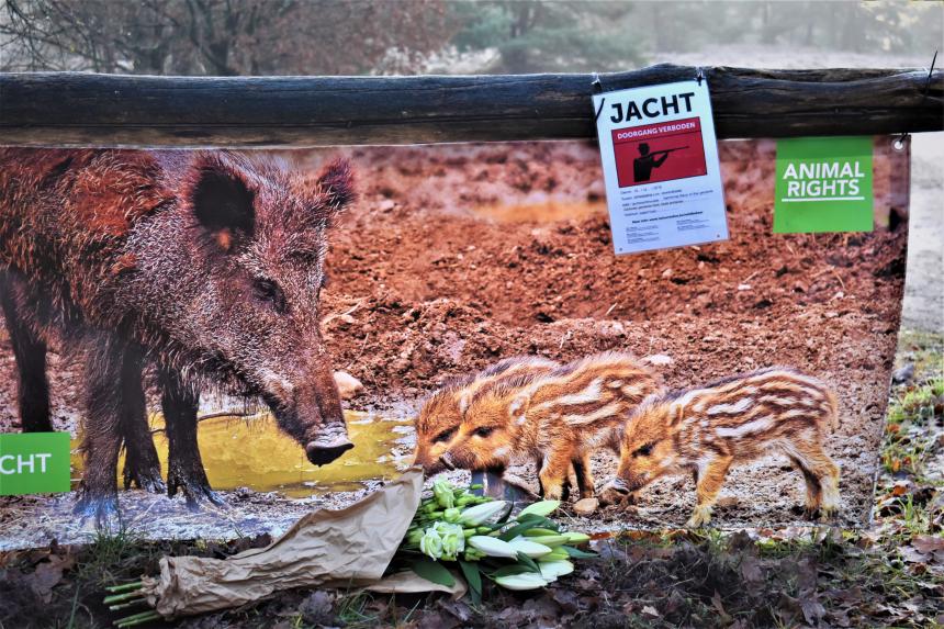 2023, Jacht, Demonstratie, Spandoek bij demonstratie tegen everzwijnenjacht, BE