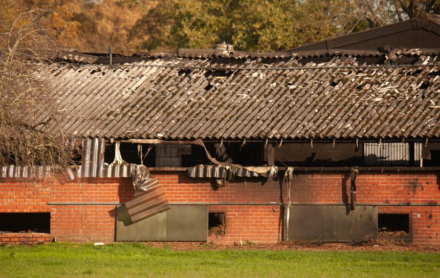 In 2023 stierven bijna 150.000 dieren bij stalbranden in België