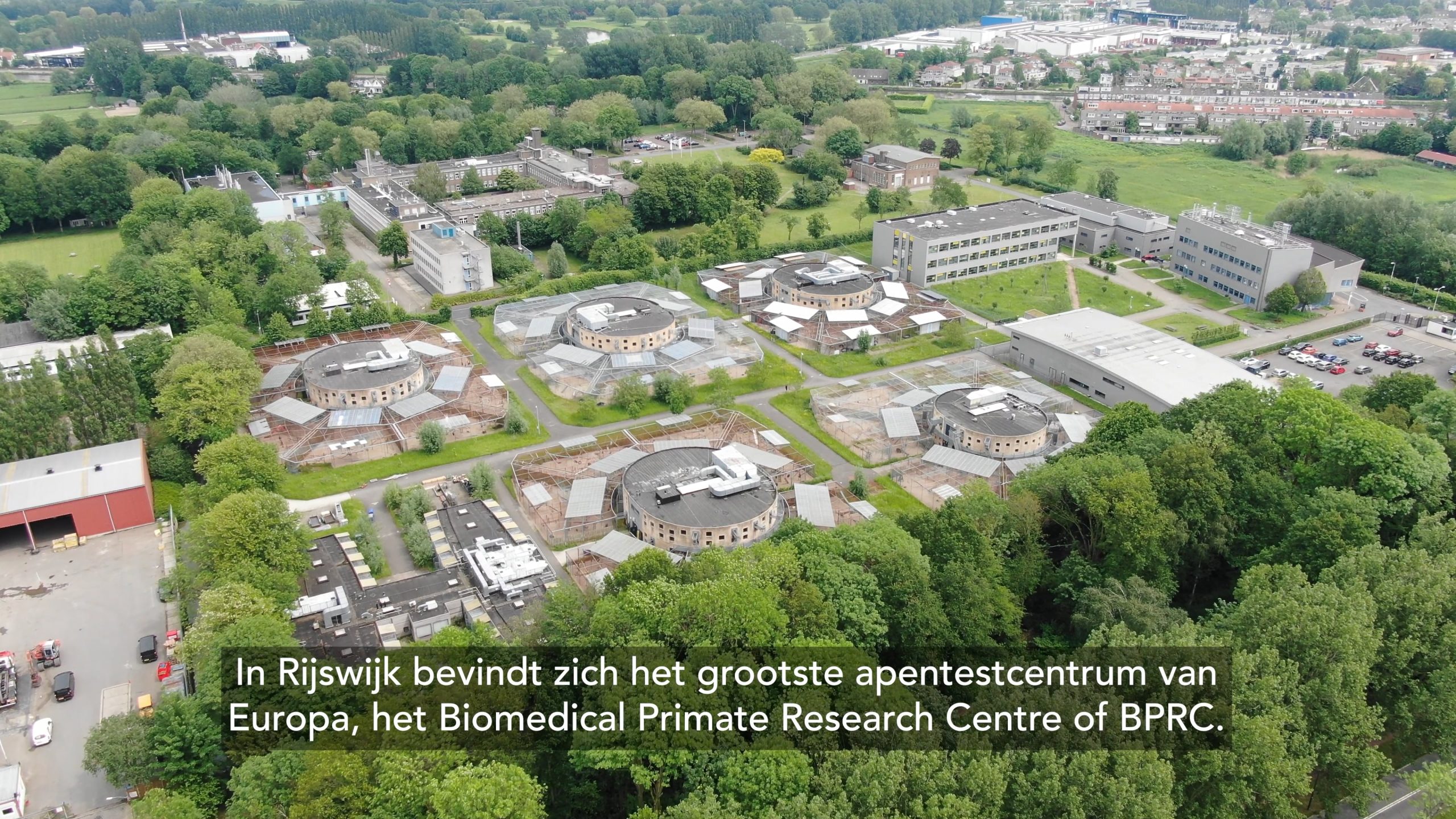 Nooit eerder getoonde beelden van apenhel BPRC