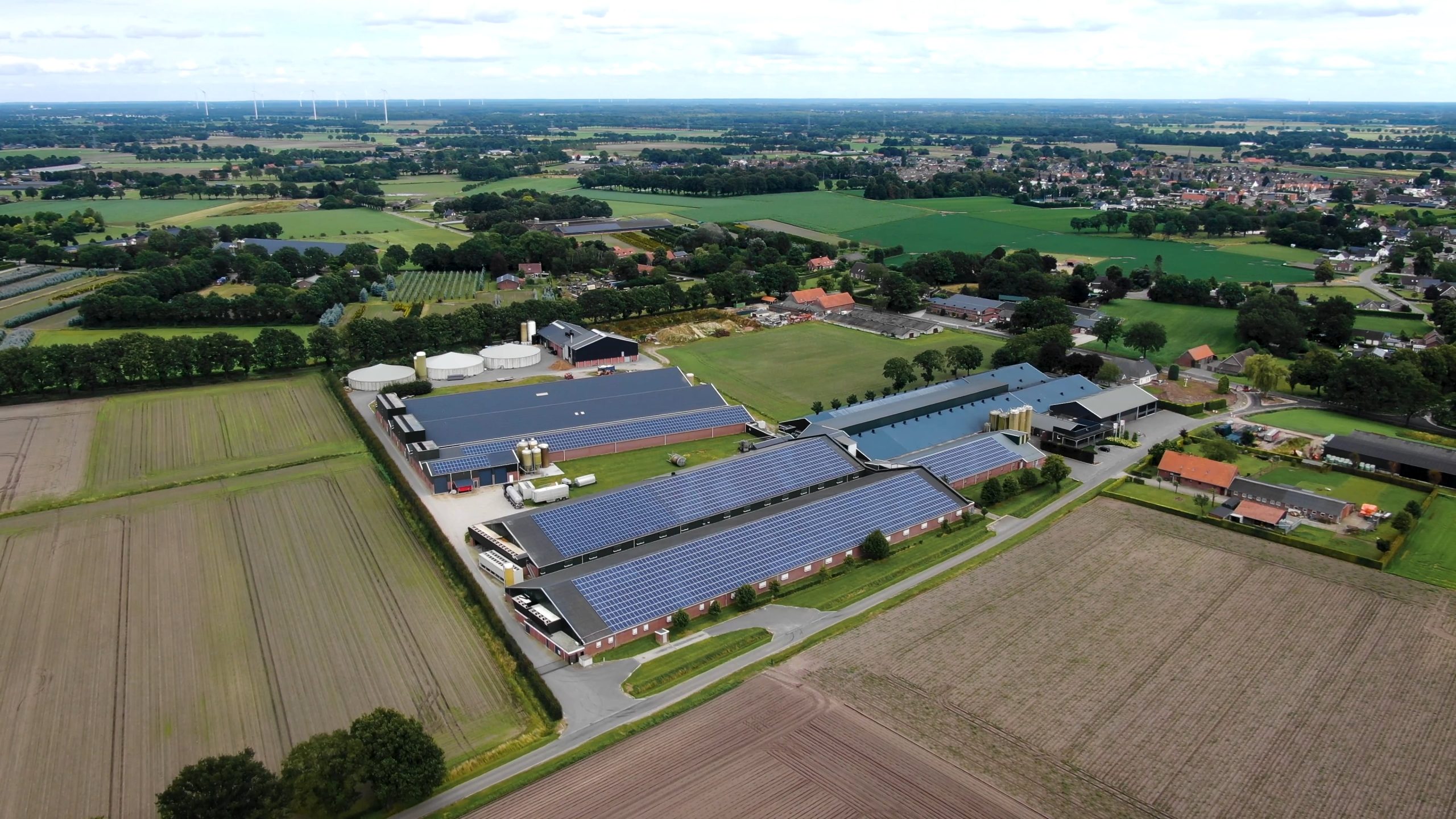 VARKENSINDUSTRIEEL VEVAR WILDE MEER DAN 11.000 EXTRA VARKENS IN NEDERWEERT – ANIMAL RIGHTS DIENDE ZIENSWIJZE IN