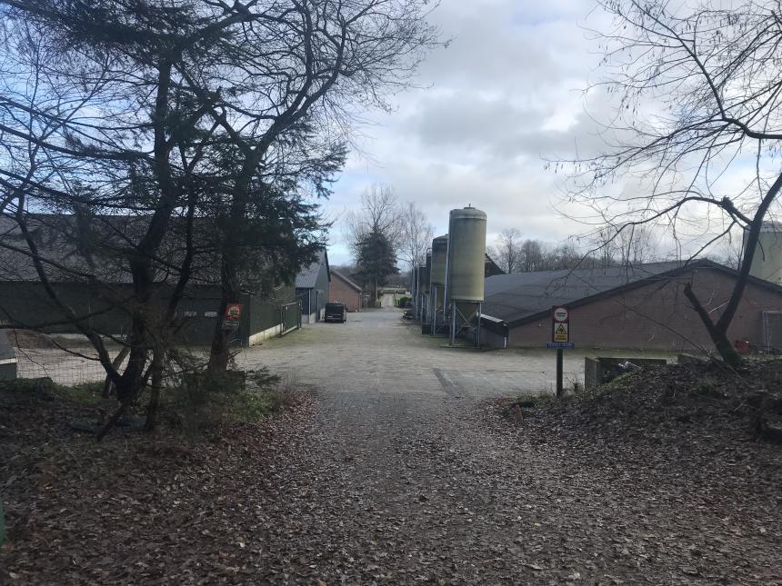 2022-12-25, Slacht, Stalverstikkingen, Stal waar 100 varkens zijn gestikt, Rhenen, NL