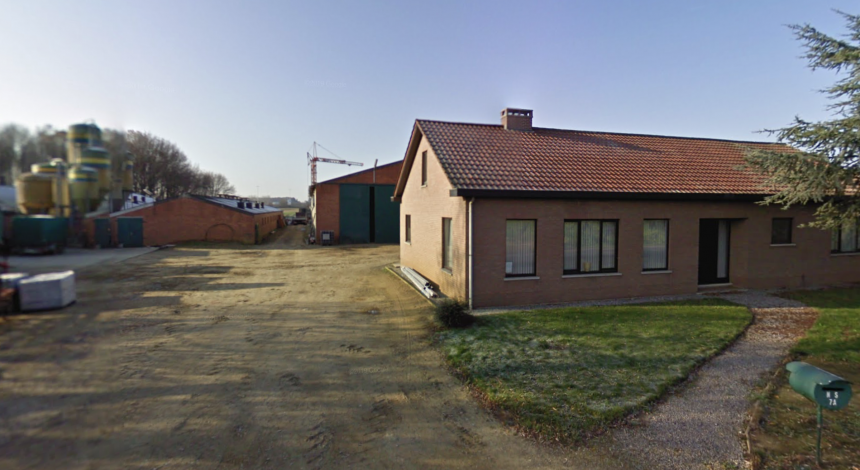 Animal Rights stelt zich burgerlijke partij voor de 900 verwaarloosde varkens in Bekkevoortse drugslabo-zaak