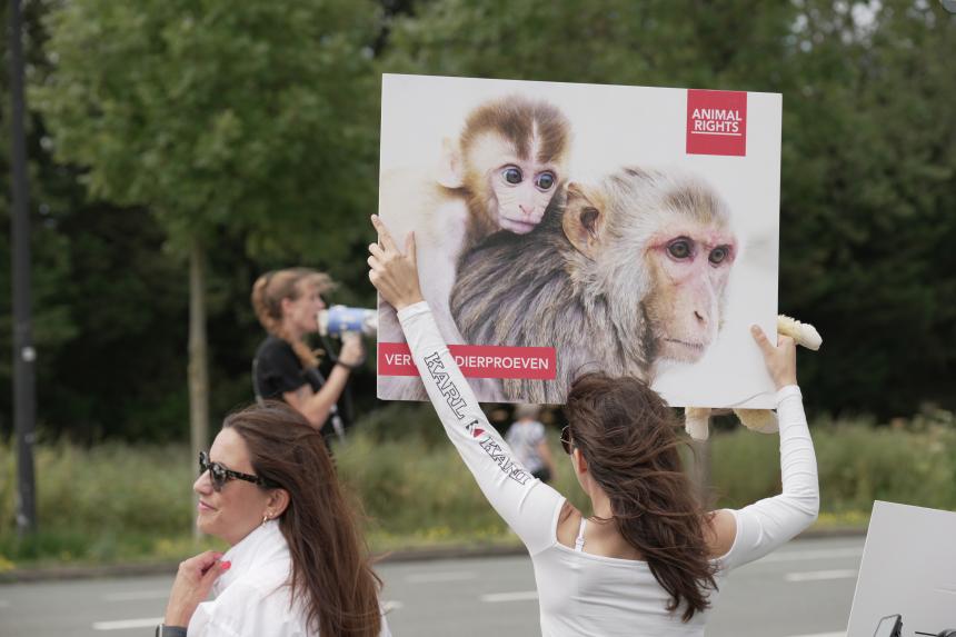 Succesvolle actie bij apenhel BPRC