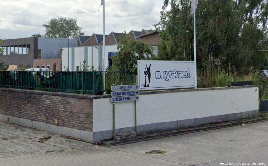 OOK DE DIERENMISHANDELAARS VAN SLACHTHUIS RYCKAERT SPELEN DE LASTER-KAART; ANIMAL RIGHTS PAREERT MET KLACHT VAN LASTERLIJKE AANGIFTE