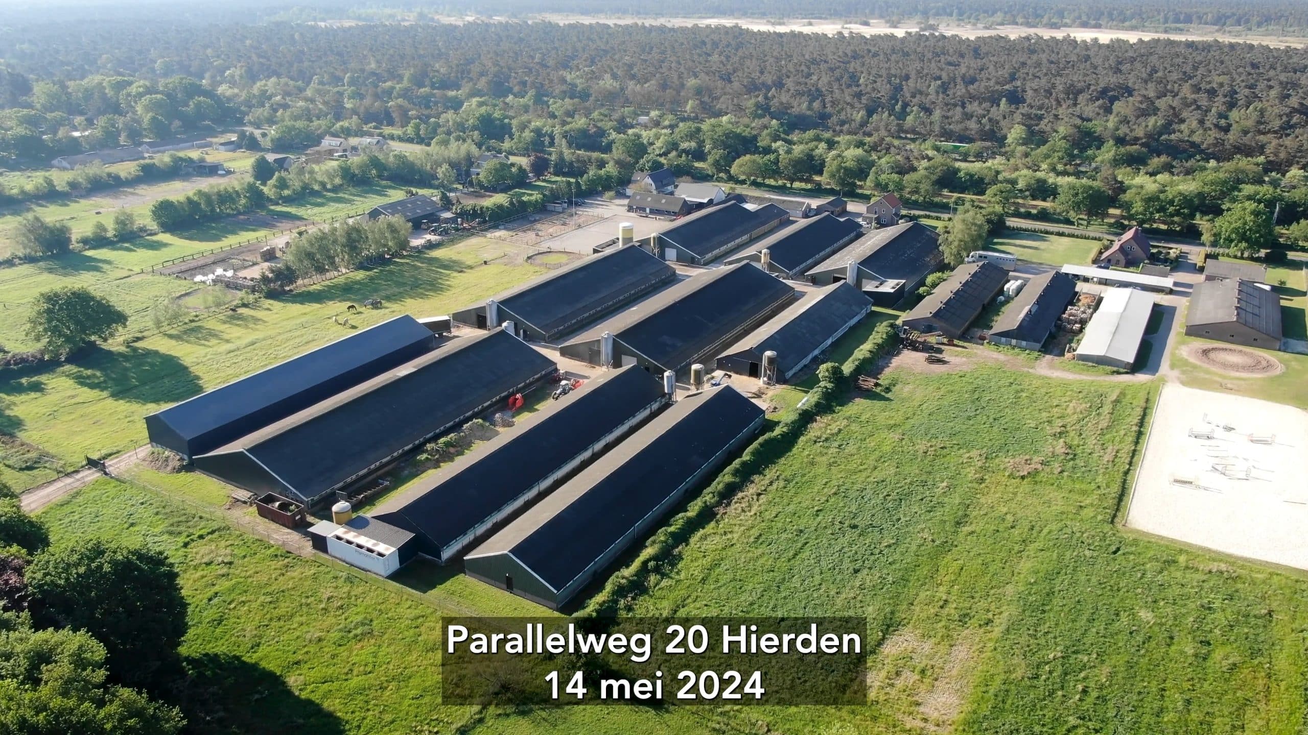 DE REACTIE VAN EENDENSLACHTER TOMASSEN OP DE DRONEBEELDEN VAN HET EENDEN VANGEN