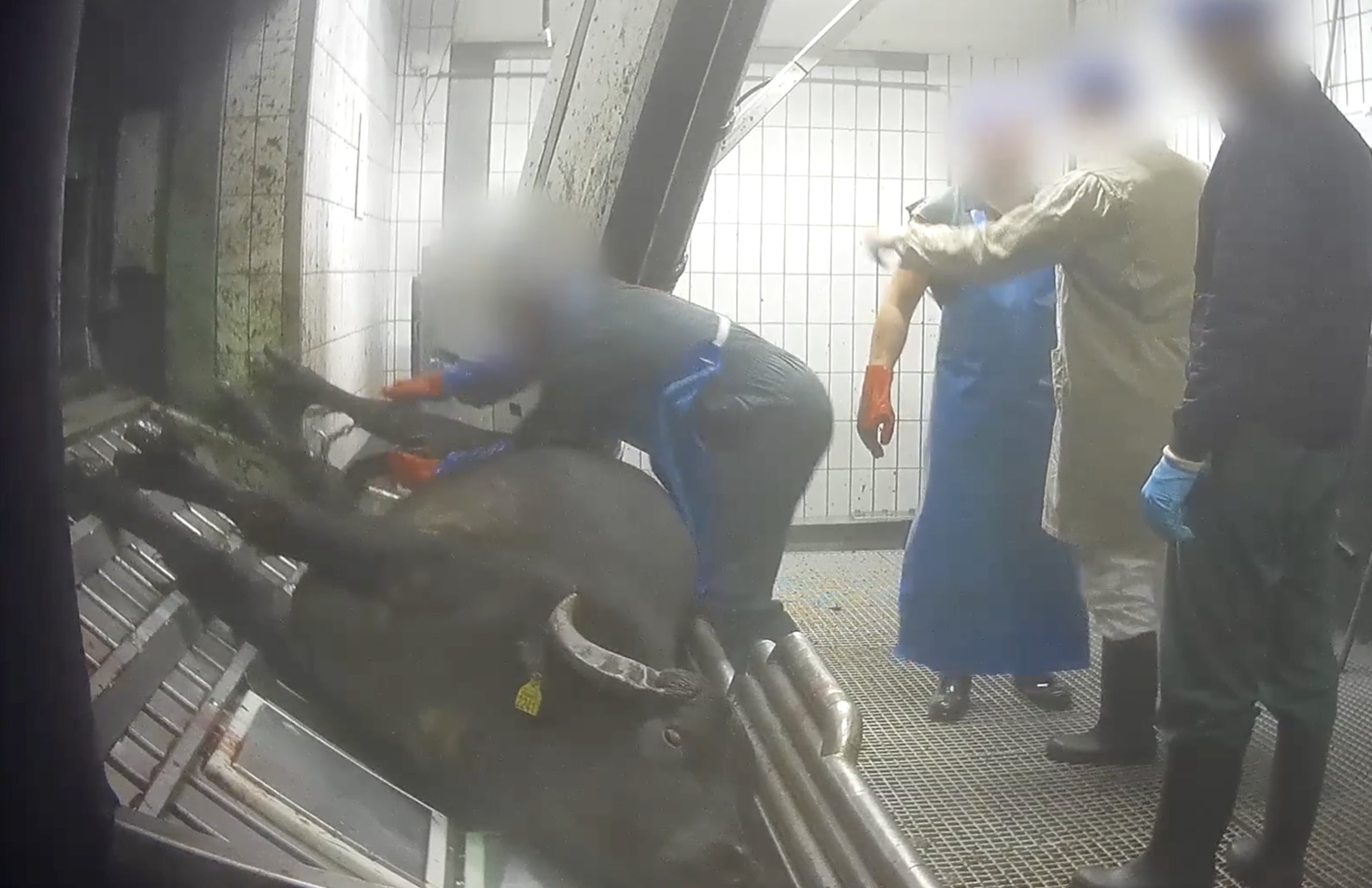 DE WET OVERTREDEN OM EEN ANDER, ZWAARWEGEND BELANG TE DIENEN