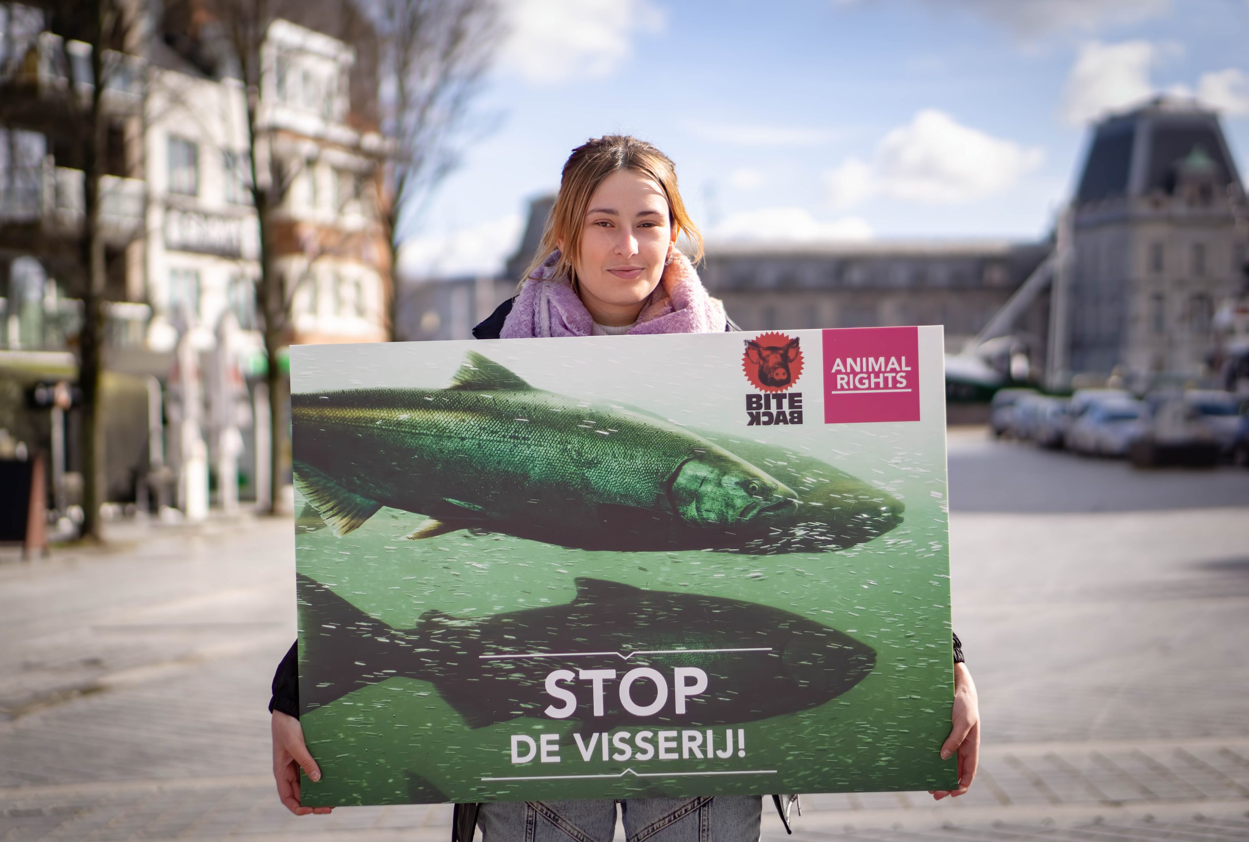 GEEN ZALMKWEKERIJ IN OOSTENDE!