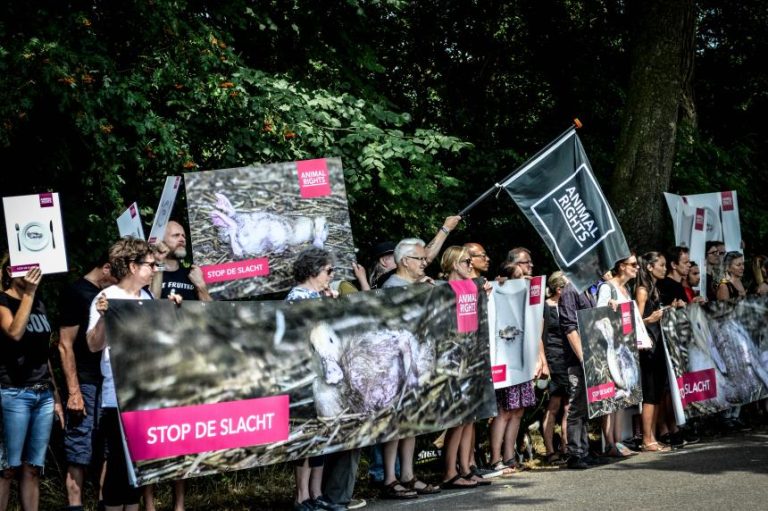 INSPRAAK ANIMAL RIGHTS OVER WEIGERING GELDERLAND OM IN TE GRIJPEN IN ERMELO