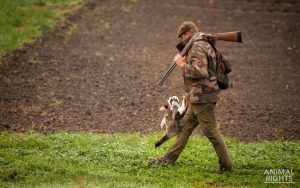 Een jager loopt door het veld met in zijn hand een gedode gans